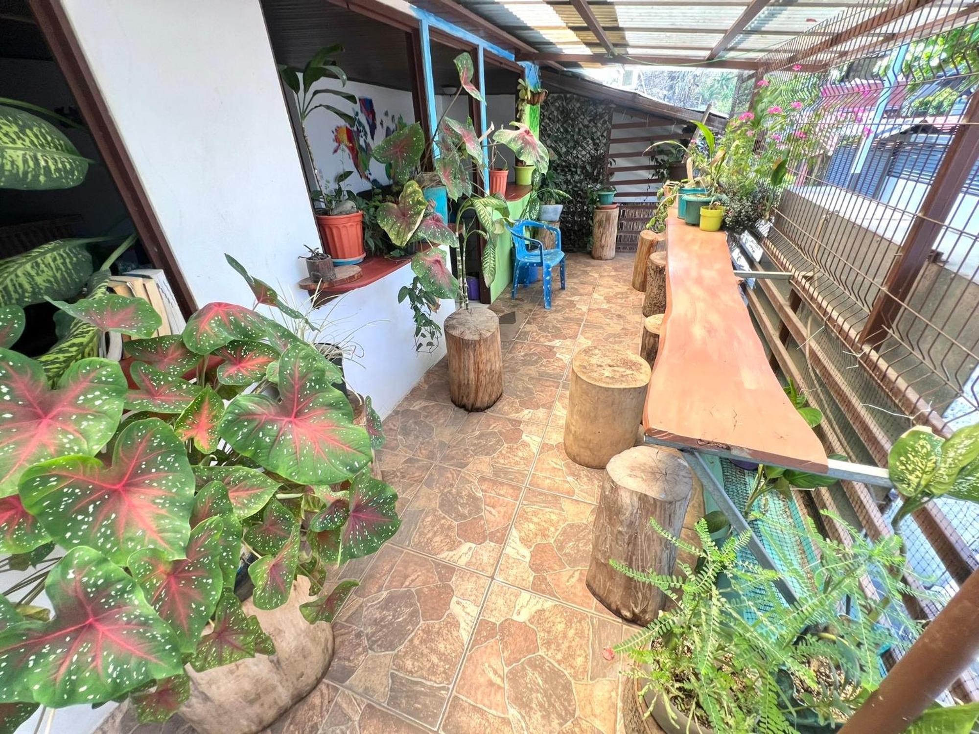 Passifloras Hostel Quepos Ngoại thất bức ảnh
