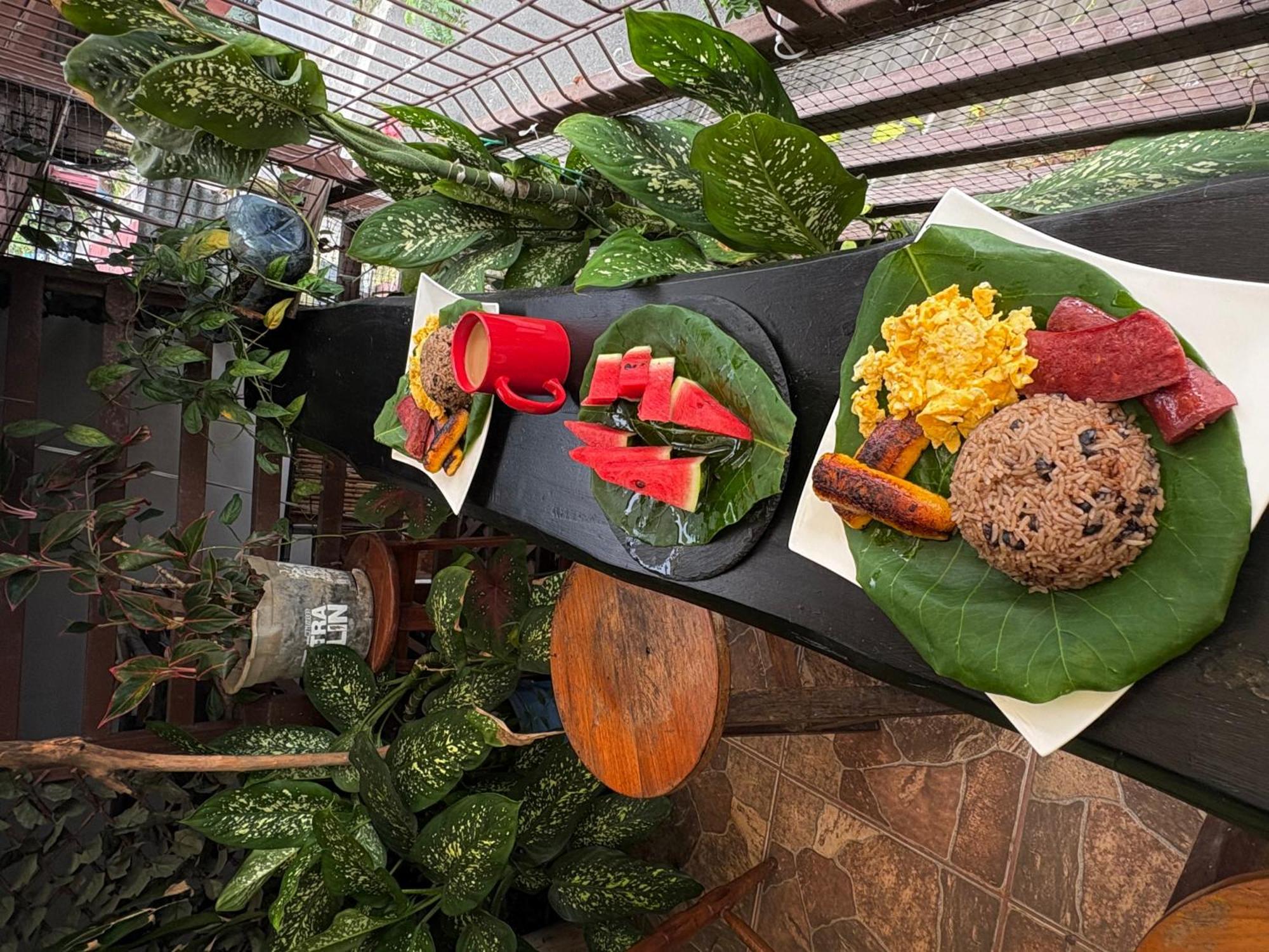 Passifloras Hostel Quepos Ngoại thất bức ảnh